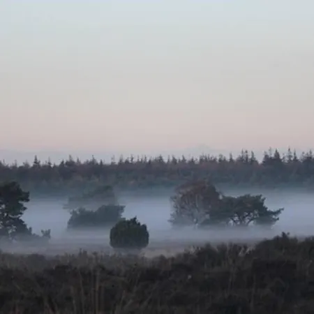 Wellness Huisje De Vos Met Jacuzzi Op De Veluwe! *